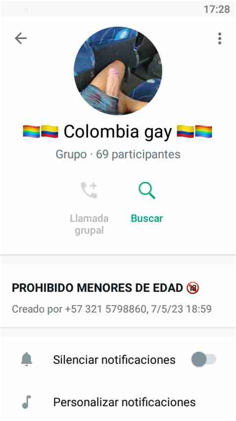 grupo de gay whatsapp|Grupos de WhatsApp: Gays